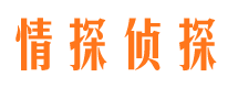 威宁侦探公司